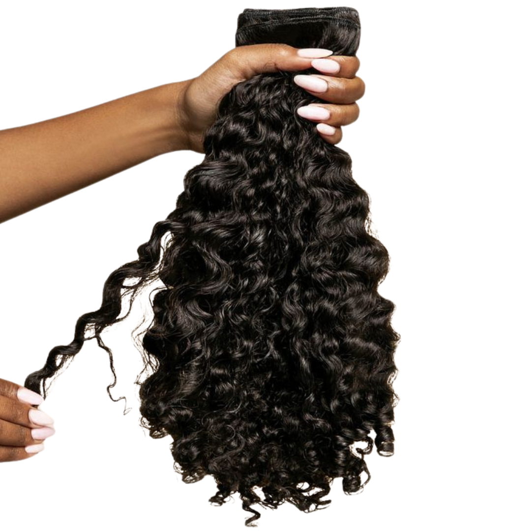 Burmese Curly